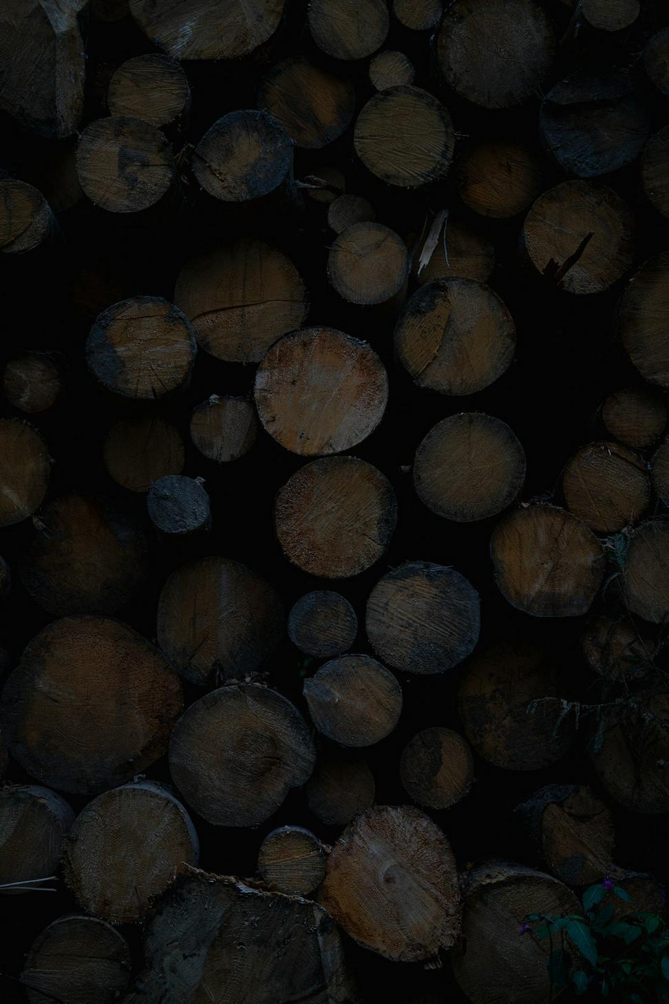 Sustainable Materials