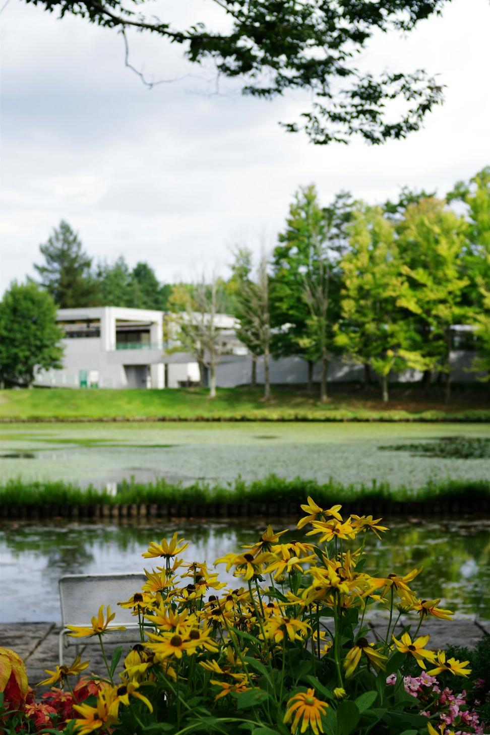 Lakeshore Modern Villa